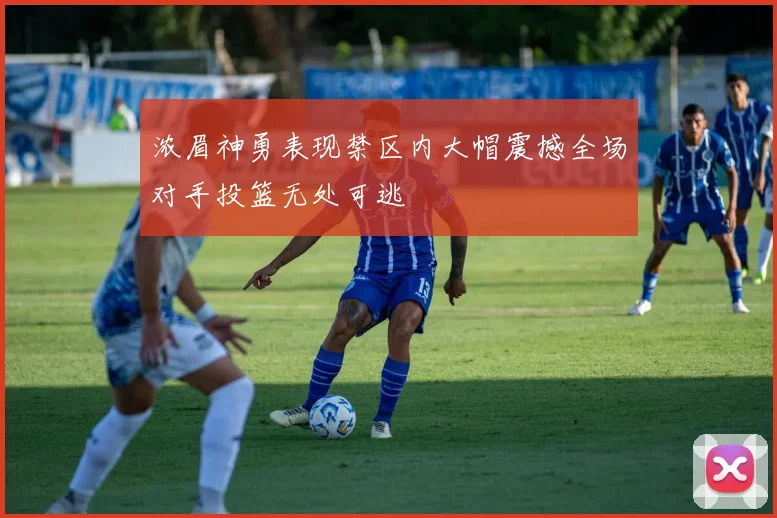 浓眉神勇表现禁区内大帽震撼全场对手投篮无处可逃