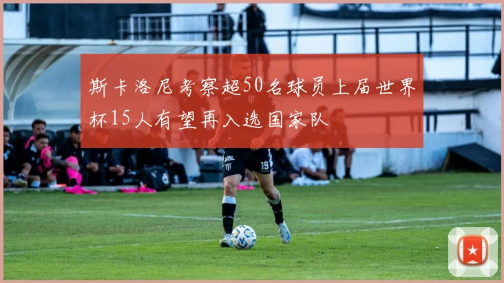 斯卡洛尼考察超50名球员上届世界杯15人有望再入选国家队