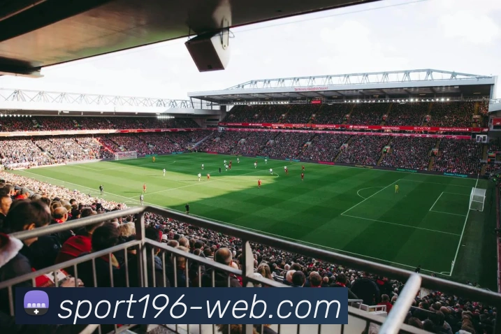 196体育平台生态图